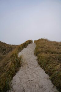 A clear path on a sandy beach surrounded by grass leading to the top of the hill.